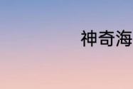 神奇海洋7月17日