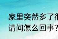 家里突然多了很多虫子，很多很多?请问怎么回事?如何处理？（寄生虫）