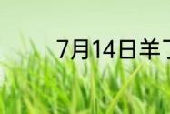 7月14日羊了个羊通关攻略