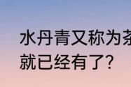 水丹青又称为茶百戏从什么时候开始就已经有了？（水丹青）