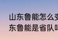 山东鲁能怎么变成山东泰山了？（山东鲁能是省队吗？）