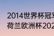 2014世界杯冠军是谁荷兰对捷克？（荷兰欧洲杯2021成绩？）