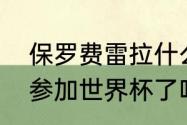 保罗费雷拉什么水平？（佩佩费雷拉参加世界杯了吗？）