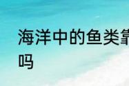 海洋中的鱼类靠隐伏生活来抵御危险吗