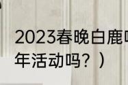 2023春晚白鹿唱哪首歌？（杭州有跨年活动吗？）