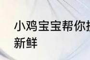 小鸡宝宝帮你挑水果以下哪种山竹更新鲜