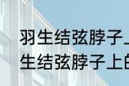 羽生结弦脖子上的项链是什么？（羽生结弦脖子上的项链是什么？）