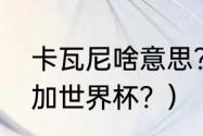 卡瓦尼啥意思？（卡瓦尼为什么没参加世界杯？）