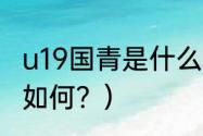 u19国青是什么意思？（法国u19水平如何？）