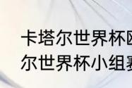 卡塔尔世界杯欧洲有哪些队？（卡塔尔世界杯小组赛比分？）