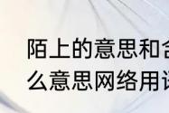 陌上的意思和含义是什么？（陌上什么意思网络用语？）