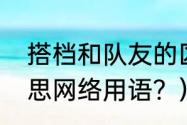 搭档和队友的区别？（搭档是什么意思网络用语？）