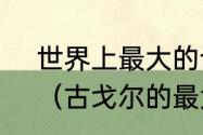 世界上最大的计数单位不是古戈尔？（古戈尔的最大单位？）