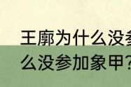 王廓为什么没参加象甲？（王廓为什么没参加象甲？）