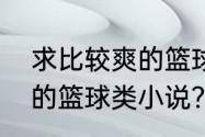 求比较爽的篮球类小说？（求比较爽的篮球类小说？）