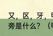 又，区，牙，甲，我，它们的统一偏旁是什么？（甲开头是什么车牌？）