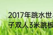 2017年跳水世界杯男子3米板？（男子双人3米跳板历届冠军？）