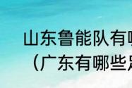 山东鲁能队有哪几个球员是山东人？（广东有哪些足球名宿？）