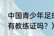 中国青少年足球教练员？（祁宏申思有教练证吗？）