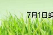 7月1日蚂蚁新村答案