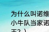 为什么叫诺维斯基叫诺天王？（NBA小牛队当家诺维斯基为何被称为诺天王？）