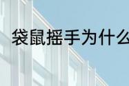 袋鼠摇手为什么火了？（袋鼠摇手）