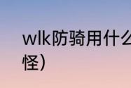 wlk防骑用什么圣印拉怪？（防骑拉怪）