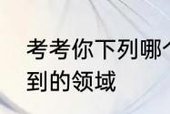 考考你下列哪个是新村社工们会涉及到的领域