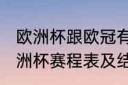 欧洲杯跟欧冠有什么区别？（2019欧洲杯赛程表及结果？）