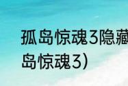 孤岛惊魂3隐藏武器解锁方法？（孤岛惊魂3）