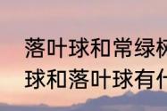 落叶球和常绿树的区别特点？（电梯球和落叶球有什么区别？）