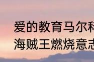 爱的教育马尔科寻母的主要内容？（海贼王燃烧意志马尔科技能加点？）