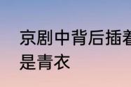 京剧中背后插着四面旗子的是武将还是青衣