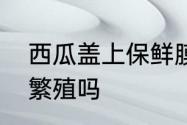 西瓜盖上保鲜膜放入冰箱会加快细菌繁殖吗