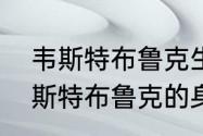 韦斯特布鲁克生涯数据？（谁知道韦斯特布鲁克的身高啊？）