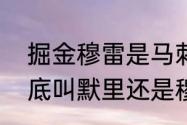 掘金穆雷是马刺的吗？（掘金控卫到底叫默里还是穆雷？）