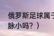 俄罗斯足球属于哪个区？（乌拉尔山脉小吗？）