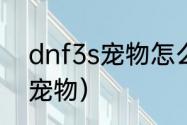 dnf3s宠物怎么得？（dnf2013春节宠物）