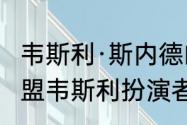 韦斯利·斯内德的人物评价？（刺客联盟韦斯利扮演者？）