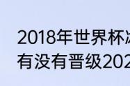 2018年世界杯冰岛踢进几强？（冰岛有没有晋级2022世界杯？）