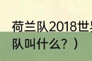 荷兰队2018世界杯成绩？（荷兰国家队叫什么？）