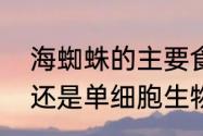 海蜘蛛的主要食物是软体无脊椎动物还是单细胞生物