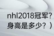 nhl2018冠军？（尼古拉斯·霍尔特的身高是多少？）