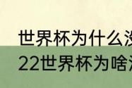 世界杯为什么没有意大利参加？（2022世界杯为啥没有意大利？）