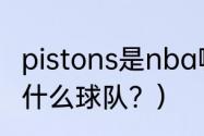 pistons是nba哪支球队？（底特律有什么球队？）