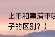 比甲和塞浦甲哪个厉害？（比甲和褂子的区别？）