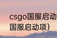 csgo国服启动项如何设置？（csgo国服启动项）