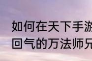 如何在天下手游玩转法系双职？听20回气的万法师兄讲解装培心得