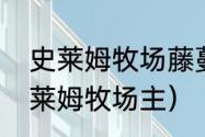 史莱姆牧场藤蔓史莱姆吃什么？（史莱姆牧场主）