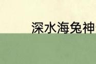 深水海兔神奇海洋6.12答案